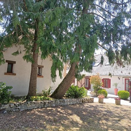 Appartamento L'Escale Solognote Tour-en-Sologne Esterno foto